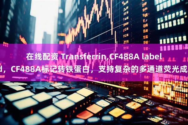 在线配资 Transferrin,CF488A labeled，CF488A标记转铁蛋白，支持复杂的多通道荧光成像